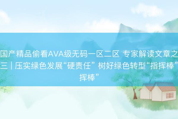 国产精品偷看AVA级无码一区二区 专家解读文章之三 | 压实绿色发展“硬责任” 树好绿色转型“指挥棒”