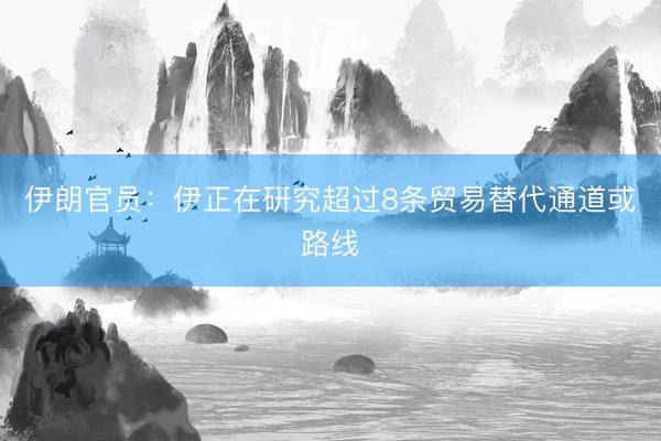 伊朗官员：伊正在研究超过8条贸易替代通道或路线
