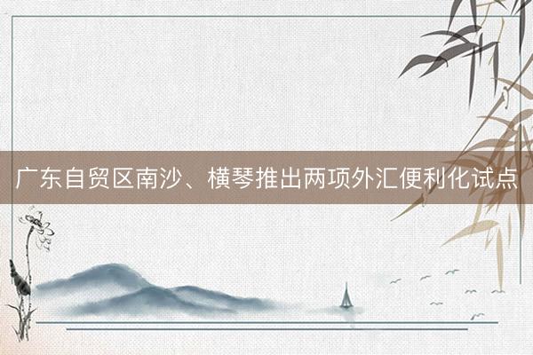 广东自贸区南沙、横琴推出两项外汇便利化试点