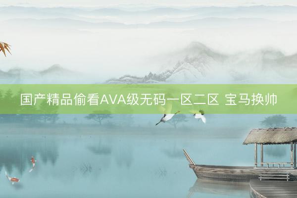 国产精品偷看AVA级无码一区二区 宝马换帅