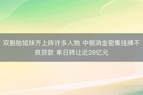 双胞胎姐妹齐上阵许多人物 中银消金密集挂牌不良贷款 单日转让近28亿元