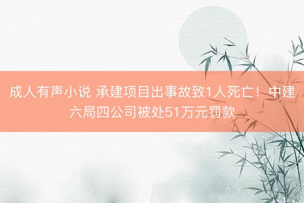 成人有声小说 承建项目出事故致1人死亡！中建六局四公司被处51万元罚款