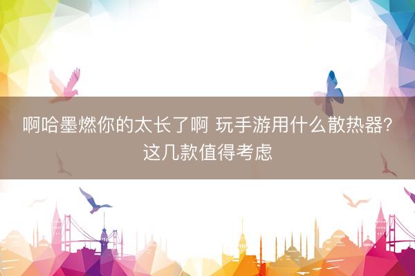 啊哈墨燃你的太长了啊 玩手游用什么散热器？这几款值得考虑