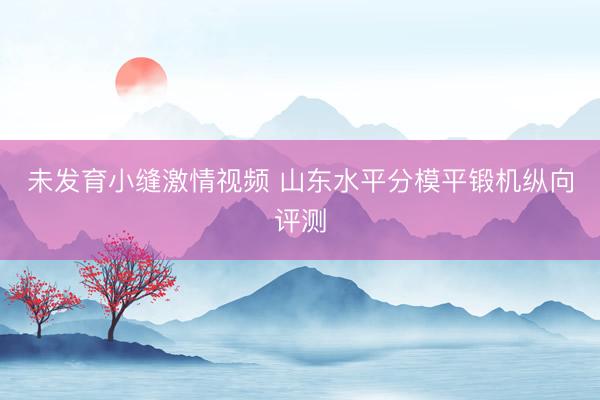 未发育小缝激情视频 山东水平分模平锻机纵向评测