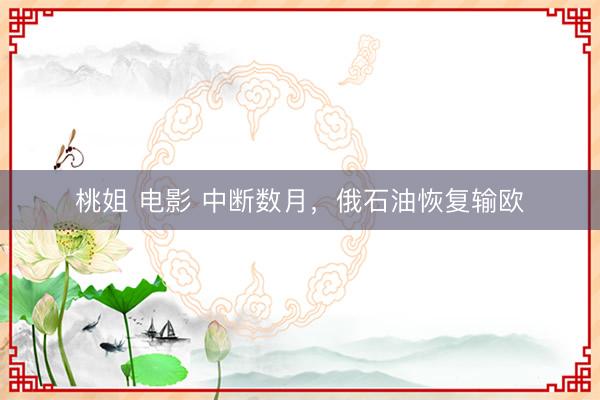 桃姐 电影 中断数月，俄石油恢复输欧