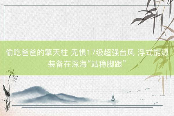偷吃爸爸的擎天柱 无惧17级超强台风 浮式能源装备在深海“站稳脚跟”
