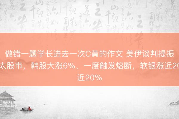 做错一题学长进去一次C黄的作文 美伊谈判提振亚太股市，韩股大涨6%、一度触发熔断，<a href=