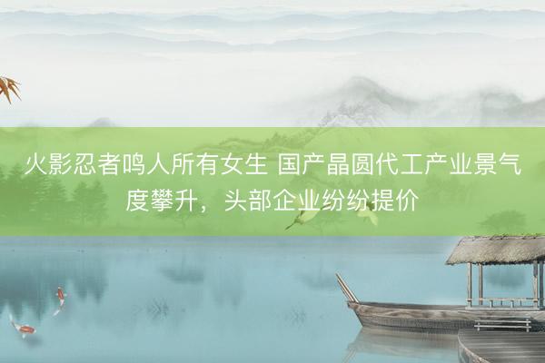火影忍者鸣人所有女生 国产晶圆代工产业景气度攀升，头部企业纷纷提价