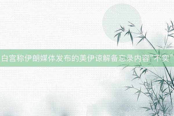 白宫称伊朗媒体发布的美伊谅解备忘录内容“不实”