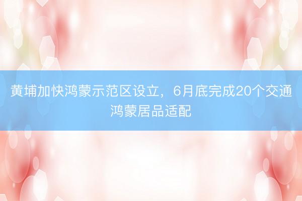 黄埔加快鸿蒙示范区设立，6月底完成20个交通鸿蒙居品适配