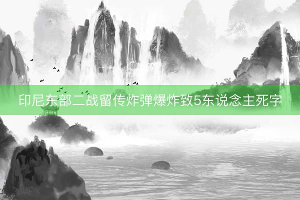 印尼东部二战留传炸弹爆炸致5东说念主死字
