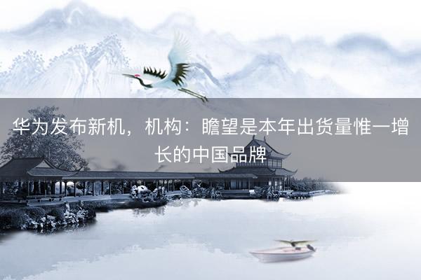 华为发布新机，机构：瞻望是本年出货量惟一增长的中国品牌