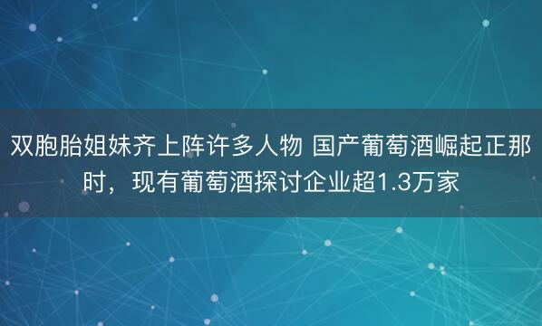 双胞胎姐妹齐上阵许多人物 国产葡萄酒崛起正那时，现有葡萄酒探讨企业超1.3万家