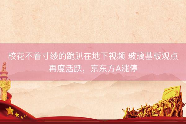 校花不着寸缕的跪趴在地下视频 玻璃基板观点再度活跃，京东方A涨停