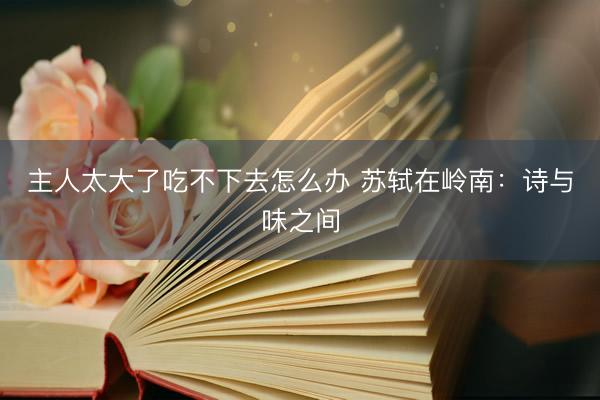 主人太大了吃不下去怎么办 苏轼在岭南：诗与味之间