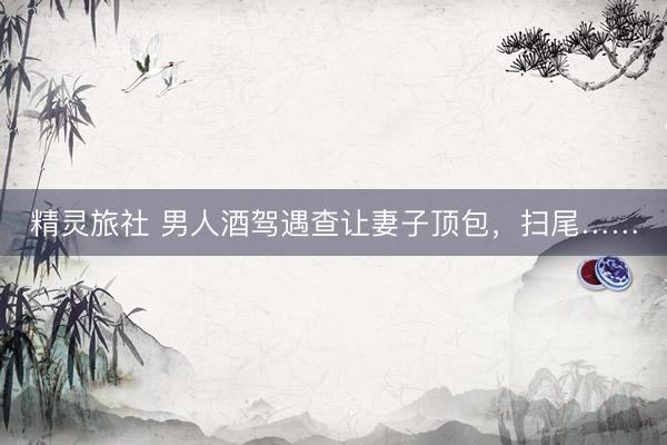 精灵旅社 男人酒驾遇查让妻子顶包，扫尾……