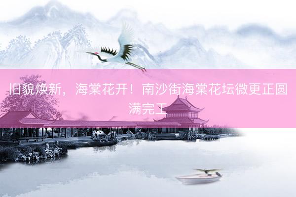 旧貌焕新，海棠花开！南沙街海棠花坛微更正圆满完工