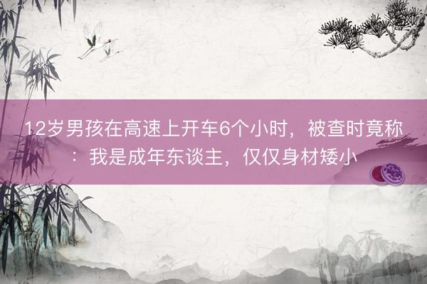 12岁男孩在高速上开车6个小时，被查时竟称：我是成年东谈主，仅仅身材矮小